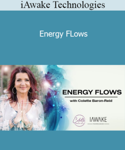 iAwake Technologies - Energy FLows