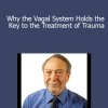 NICABM - Why the Vagal System Holds the Key to the Treatment of Trauma