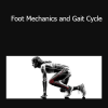 Annette Verpillot - Foot Mechanics and Gait Cycle