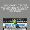 UNDERPINNINGS CONCEPTS WHICH LIVE & BREATHE WITHIN AN ECOLOGICAL DYNAMICS FRAMEWORK