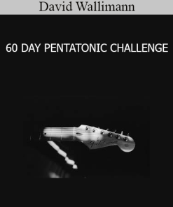 David Wallimann - 60 DAY PENTATONIC CHALLENGE
