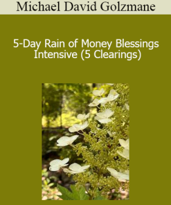 Michael David Golzmane - 5-Day Rain of Money Blessings Intensive (5 Clearings)