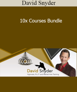 David Snyder - 10x Courses Bundle