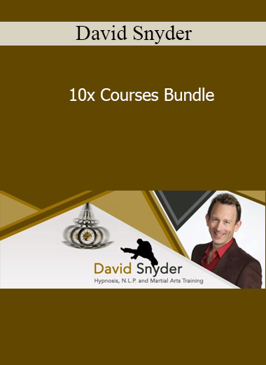 David Snyder - 10x Courses Bundle