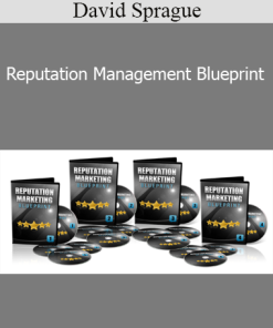 David Sprague - Reputation Management Blueprint