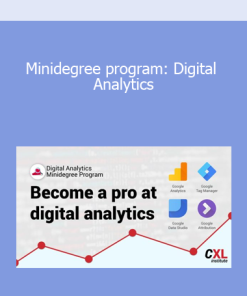 Minidegree program: Digital Analytics
