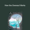 Bashar - How the Oversoul Works
