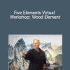 Bruce Frantzis - Five Elements Virtual Workshop: Wood Element
