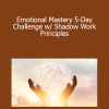 Udemy - Benjy Sherer - Emotional Mastery 5-Day Challenge w/ Shadow Work Principles