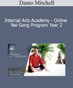 Damo Mitchell - Internal Arts Academy - Online Nei Gong Program Year 2