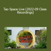 Bruce Frantzis - Tao Space Live (2022-09 Class Recordings)