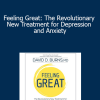 David D. Burns - Feeling Great: The Revolutionary New Treatment for Depression and Anxiety