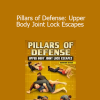 Gordon Ryan - Pillars of Defense: Upper Body Joint Lock Escapes
