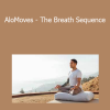 Dylan Werner - AloMoves - The Breath Sequence