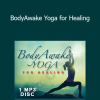 Sue Morter - BodyAwake Yoga for Healing