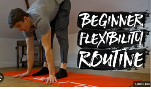 Bodyweight Warrior - Flexibility training Program