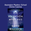 David Wilcock teaching Ascension Mystery School from Divine Cosmos