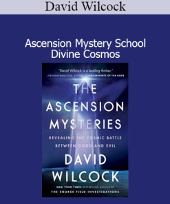 David Wilcock teaching Ascension Mystery School from Divine Cosmos