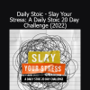 Ryan Holiday teaching Stoic tools to reduce stress in the 20-Day Daily Stoic Challenge
