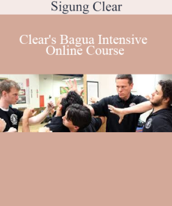 Sigung Clear presenting Clear's Bagua Intensive Online Course for internal power, martial skill, and energy development